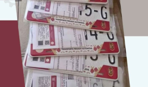 ESTADO NUEVAS PLACAS