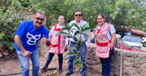 ESTADO REFORESTACION
