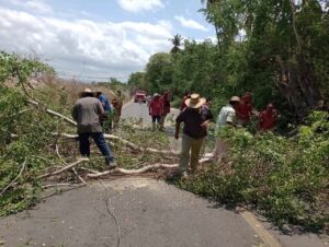 Marquelia Comisaria ejidal ha realizado trabajos de poda de arboles