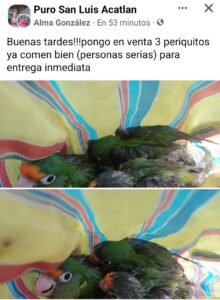SAN LUIS PUBLICACIONES EN FACEBOOK (2)