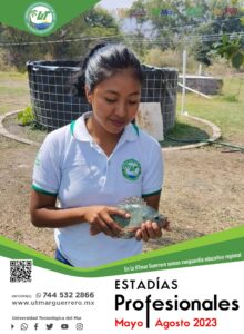 boletin utmar