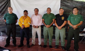 estado brigadistas canada