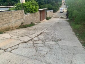 OME LA CALLE NICOLAS BRAVO (2)