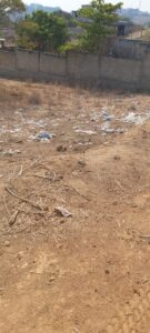 OME Los terrenos llenos de pañales (2)