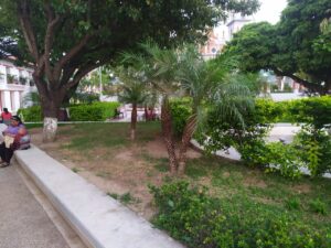 SAN LUIS ´ÁREAS VERDES