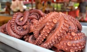 SOCIALES DISMINUYE PESCA DE PULPO