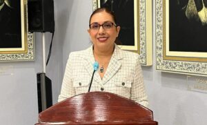 congreso nora velázquez