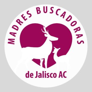 roja colectivo madres buscadoras de jalisco
