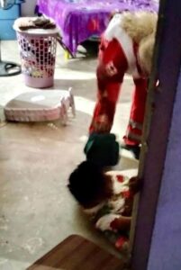 roja el herido
