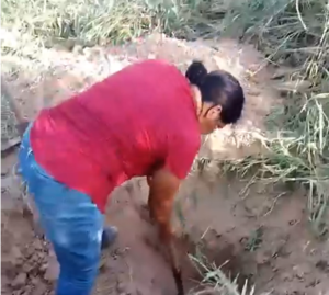 roja fosas
