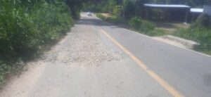 MARQUELIA LA GRAVA REGADA EN LA CARRETERA (1)