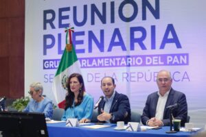 NACIONAL DIRIGENTE DEL PAN