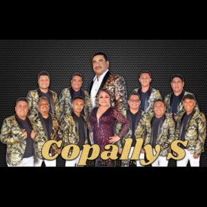 PUBLICIDAD GRUPO COPALLIS