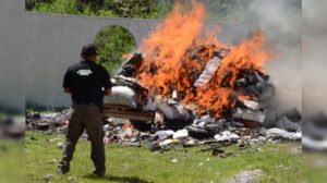 ROJA DESTRUYEN NARCOTICAS