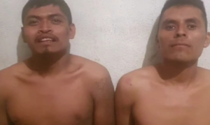 ROJA INDIGENAS CIPOG EZ FORZADOS