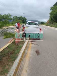 ROJA LA CAMIONETA SOBRE LA JARDINERA