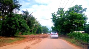 SLA TRAMOS CARRETEROS AZOLVADOS (1)