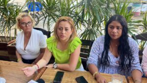 estado rente Amplio Feminista
