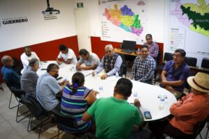 estado revision de padrones