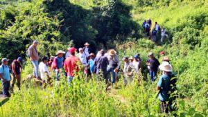COPALA Diligencia fallida