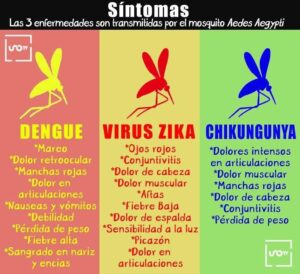 ESSTADO AUMENTA DENGUE