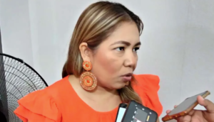 ESTADO Araceli Catalán Vázquez.