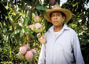 ESTADO GUERRERO MANGO