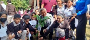 ESTADO REFORESTACION ESCUELAS