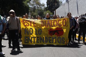 ESTADO manifestacón en mexico (2)