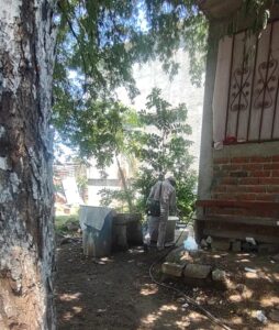Marquelia.-Actividades de prevención contra el dengue