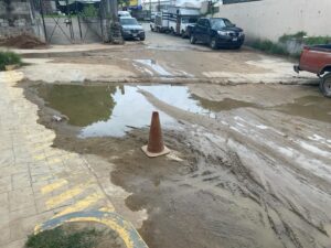 OME EL LODO ESTANCADO (4)