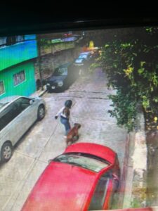 ROJA EL PERRO