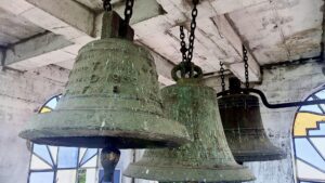 TECOANAPA CAMPANA (2)