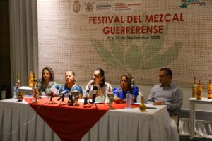 estado festival del mezcal (2)