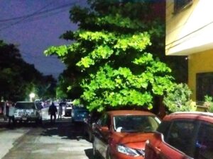 roja calle Yohualtepec