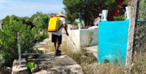 Marquelia Actividades en el panteón municipal (2)