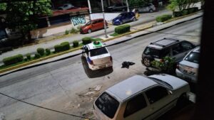 roja la extremidad en el coche