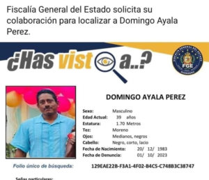 roja la ficha de busqueda