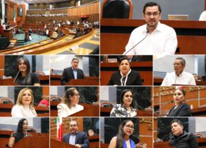 CONGRESO COMPARECENCIA LUDWIG