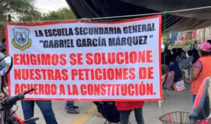 ESTADO PARO EN TLAPA