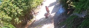 MARQUELIA Captaron a quien tira basura
