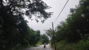 Marquelia Las ramas golpean los cables