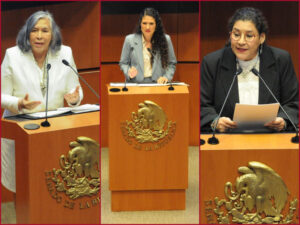 NACIONAL SENADO TERNA
