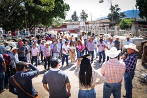 BOLETIN EVELYN sementales (3)