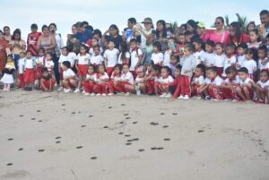 BOLETIN MARQUELIA LIBERAN TORTUGAS (1)