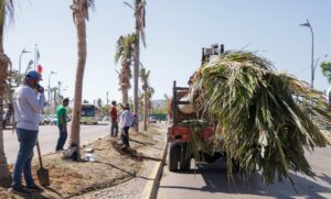 ESTADO REFORESTACION