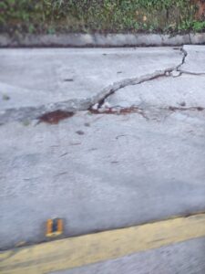 MALINA La zona (2)