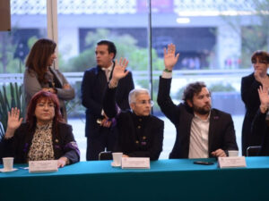 NACIONAL PARTIDO VERDE HUERFANOS