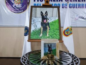 SOCIALES HOMENAJE A NIDÁN