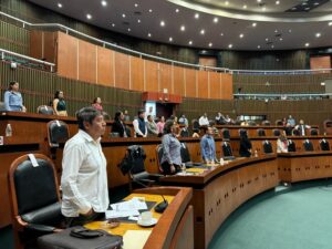 CONGRESO Aprobación de la Ley (1)